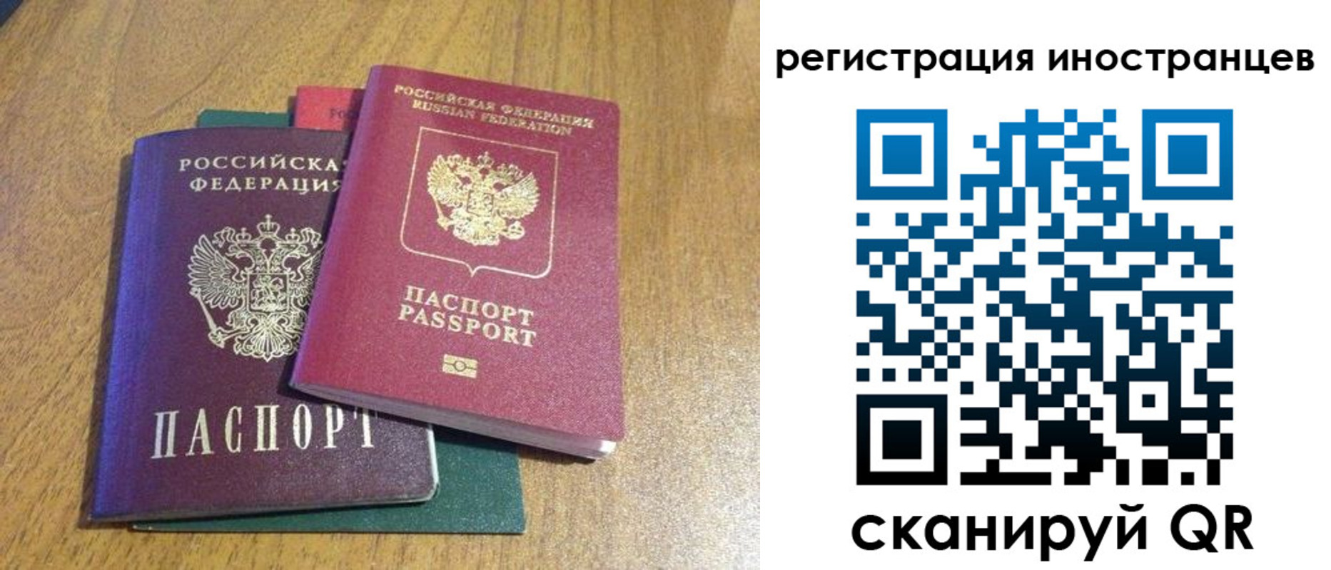временная регистрация поиск в Приозерске